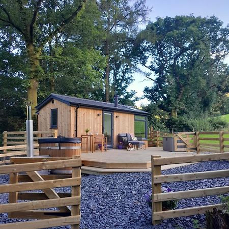 Villa Ty Nant Gwenyn Llanymawddwy Esterno foto